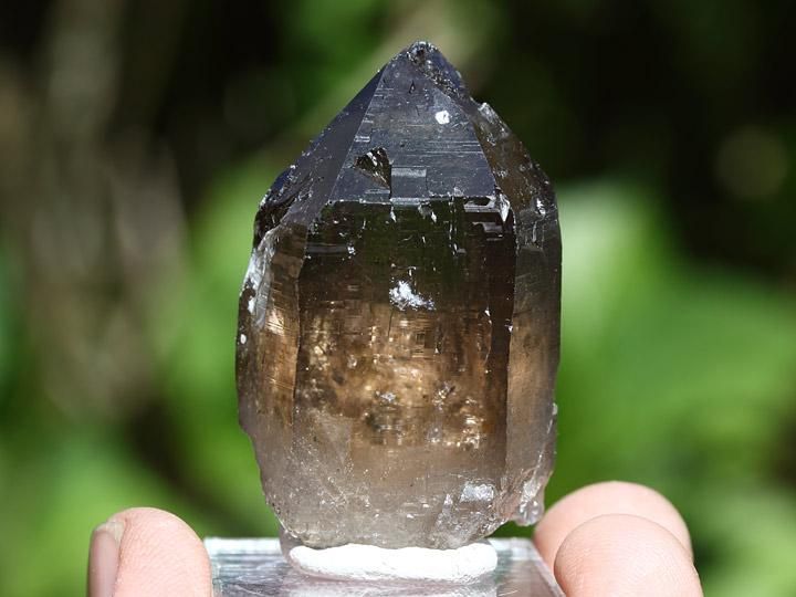 ガウリシャンカール産ヒマラヤ水晶ポイント - ヒマラヤ水晶専門 ガウリシャンカール産ヒマラヤ水晶ポイント - ヒマラヤ水晶専門