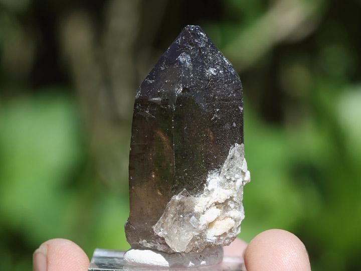 ガウリシャンカール産ヒマラヤ水晶ポイント - ヒマラヤ水晶専門 ガウリシャンカール産ヒマラヤ水晶ポイント - ヒマラヤ水晶専門