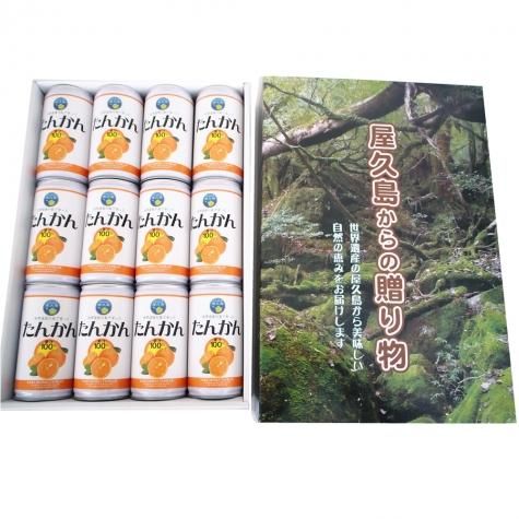 119846343.jpg?cmsp_timestamp=