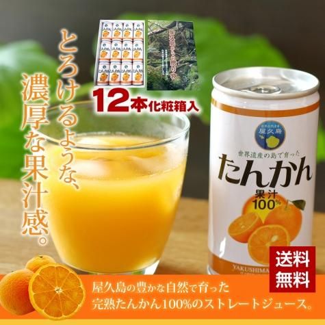 ジュース12本詰め合わせセット（たんかん） - 屋久島たんかん 訳