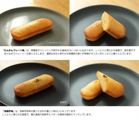 フィナンシェ ヤクシマーノ 5種のアソートセット お得パッケージ 屋久島土産 屋久島たんかん 訳ありたんかん たんかんジュース 黒糖販売 屋久屋