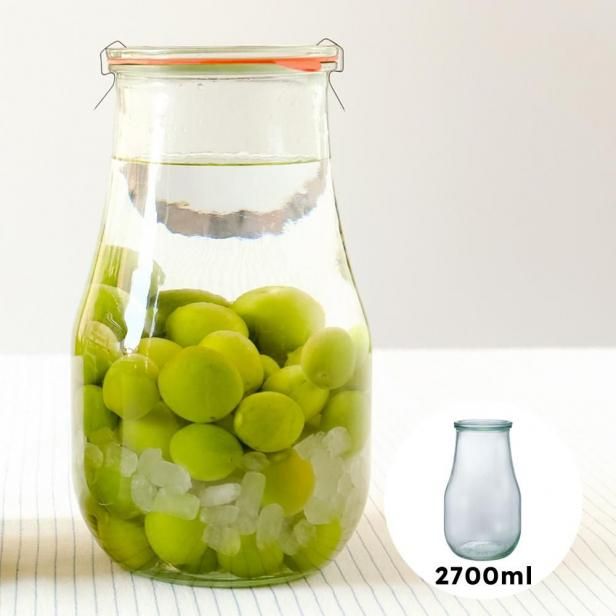 TULIP SHAPE 1000ml