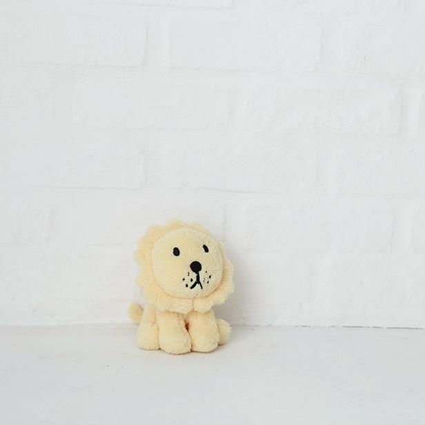 Terry Lion