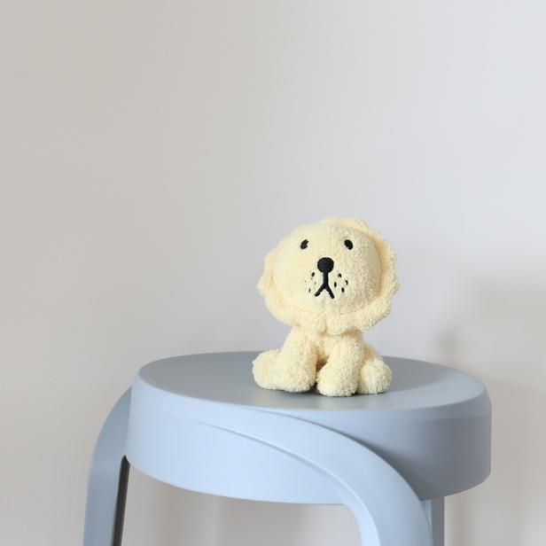 Terry Lion