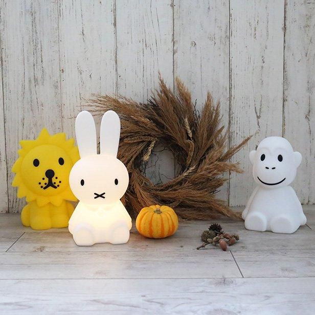 FIRST LIGHT miffy and friends - marcs store FIRST LIGHT miffy and friends - marcs store