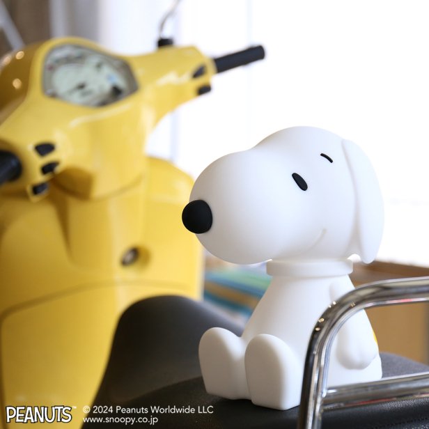 Snoopy First Light ʥ̡ԡ