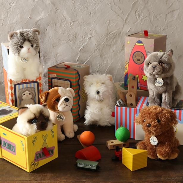 B.T. CHAPS  17cm in Giftbox