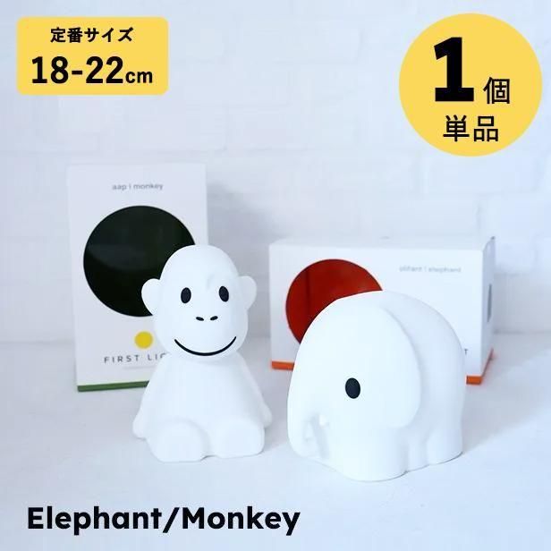 FIRST LIGHT miffy and friends