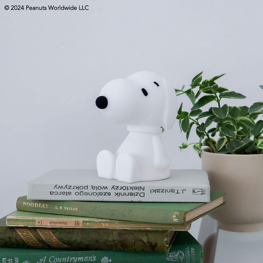 Amazon.co.jp: ProductWorks ピーナッツ プリライト 24インチ