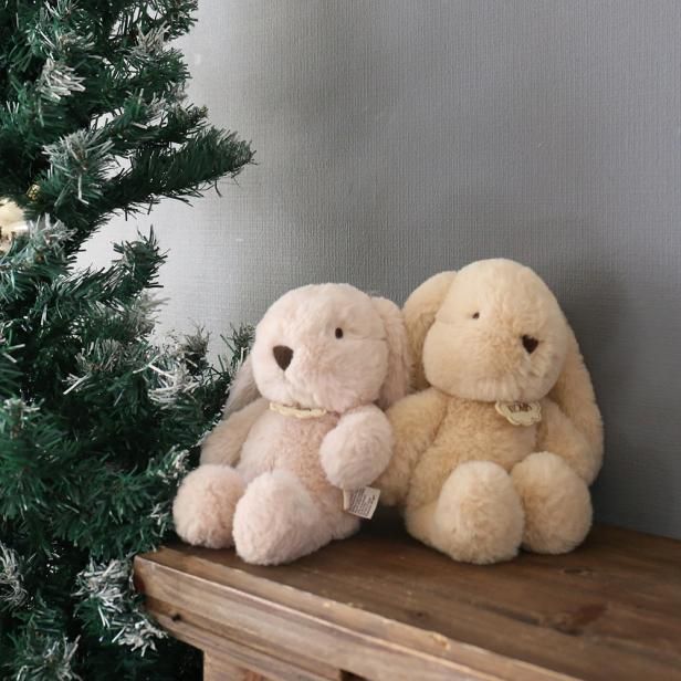 BON TON TOYS | BRAND | marcs STORE