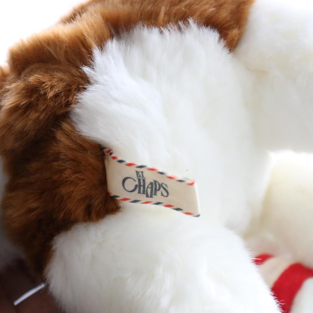 B.T. CHAPS スポーツ好きなペットたち - marcs store