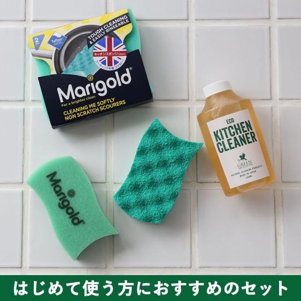 GREEN MOTION ֥å&ե饤ѥݽץȥå