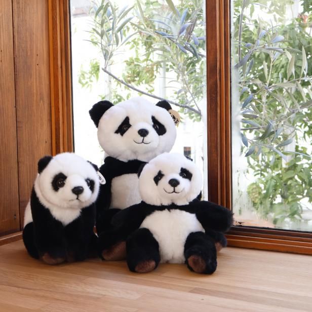 WWF PANDA