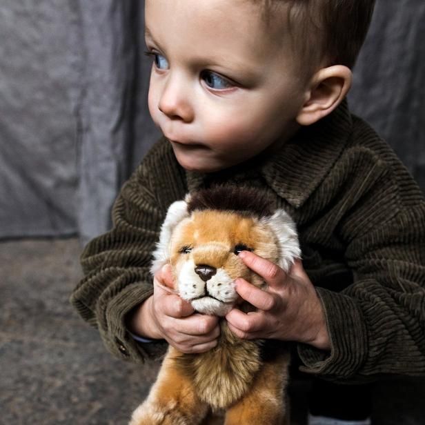WWF LION 23cm