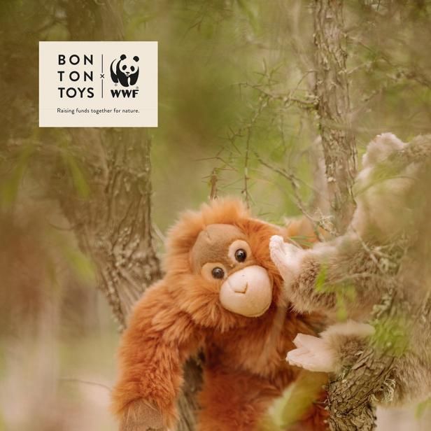 WWF ORANGUTAN 23cm