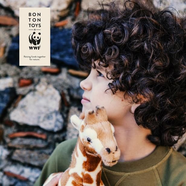 BON TON TOYS | BRAND | marcs STORE
