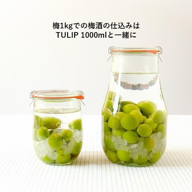 コウジロウです。Jack Daniel's &Suntory 梅酒セット WECK HOME SET 梅酒やフルーツティーにおススメTULIP2700ml
