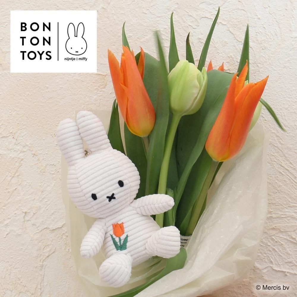 ★祝！miffy生誕70周年★『お祝いグッズ10点セットまとめ売り』 ☆祝！miffy生誕70周年☆『お祝いグッズ10点セットまとめ売り』