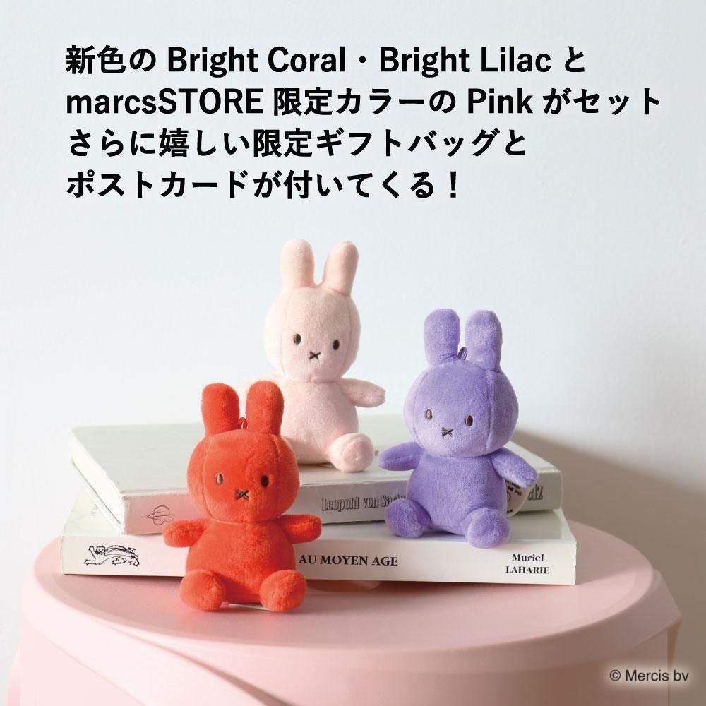 miffy コスモス薬品 株主優待券　10,000円　ポケモンカードセット ポケモンカード1枚とおまけでコスモス薬品株主優待券1000円分の
