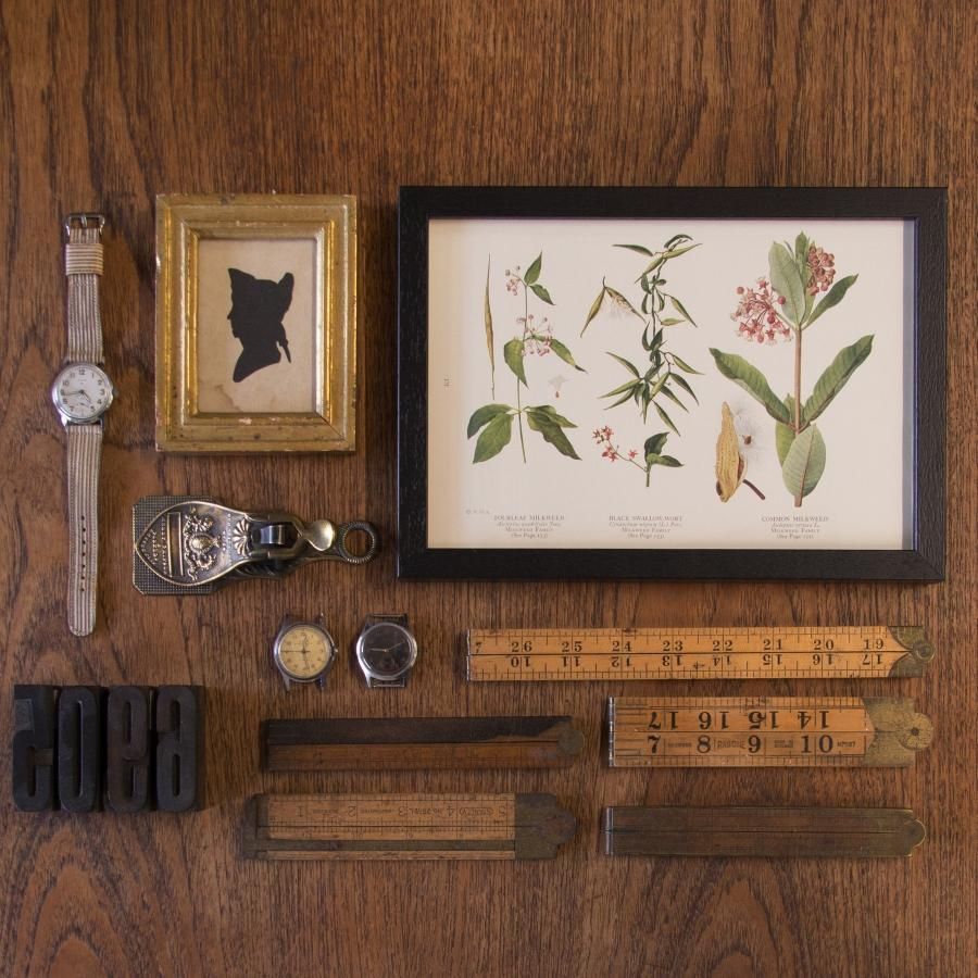 アンティーク☆ボタニカルアート シダ 植物画 ウォールデコ 木製フレーム