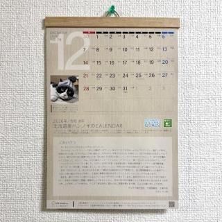 Chiemokuꥸʥ륫2026