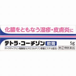 テトラ・コーチゾン軟膏　５ｇ