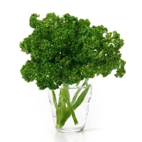 CENTONZE R チェントンツェアール 3本セット CENTONZE R （チェントンツェ・アール）エクストラバージン