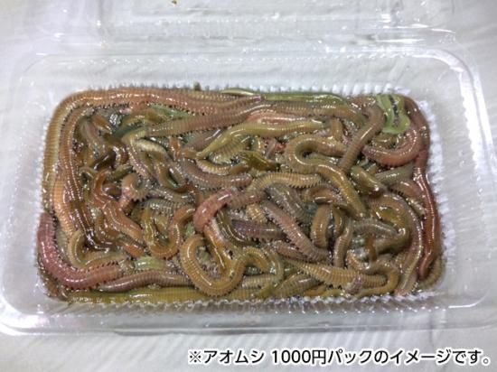 アオムシ 1kg エサ光 フィッシングヒカリ Webショップ アオムシ 1kg エサ光 フィッシングヒカリ Webショップ