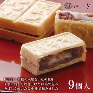 桡9WA-4