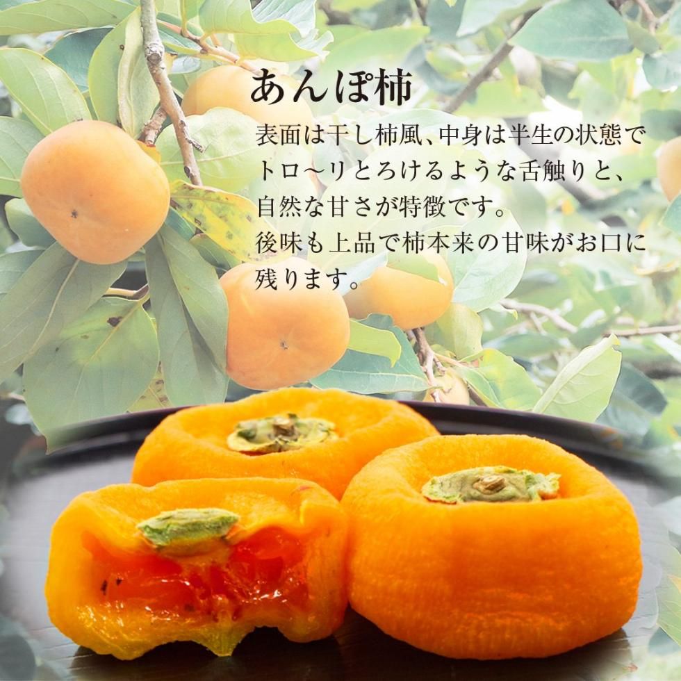 市田柿の店柿八「まるごと市田柿大福」6個
