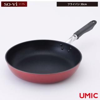  ե饤ѥ 30cm 륷޶° SOV-F30 <span id="n">̵</span>