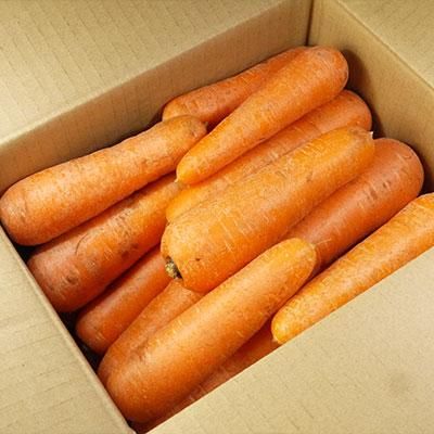 青森県産 有機JAS認定にんじん A品（M～L）10kg