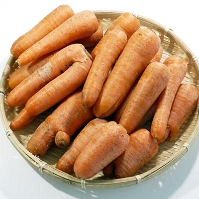 青森県産 有機JAS認定にんじん B品（S～L）5kg