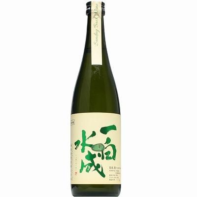 山本ひょういち　モンパルナスにて 薔薇 | ｜正光画廊