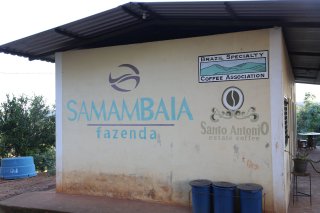 Brazil Samambaia - ブラジル サマンバイア -