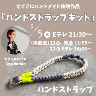 NHKƤ˥ϥɥᥤǺʺåȡۥϥɥȥåץåȢ쥷դξʲ