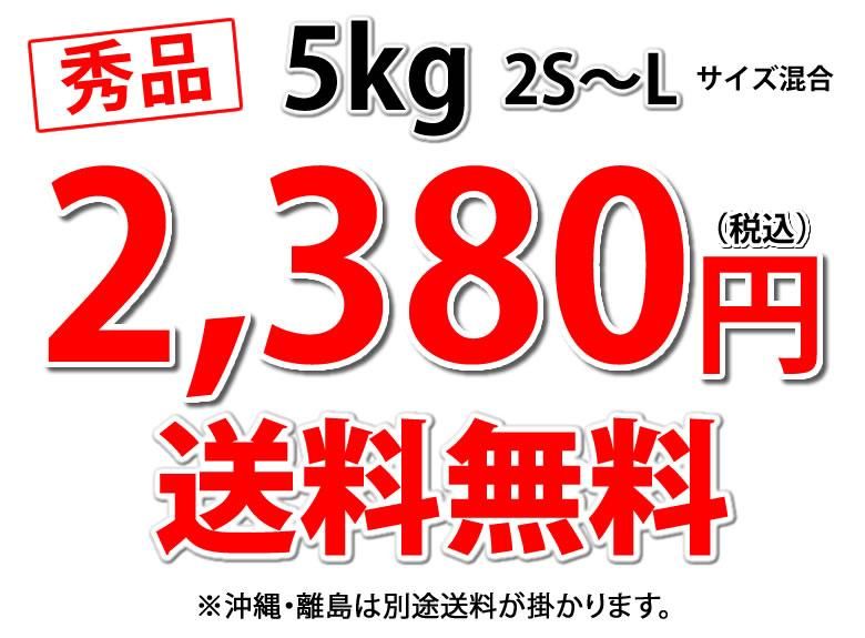 5kg ̵