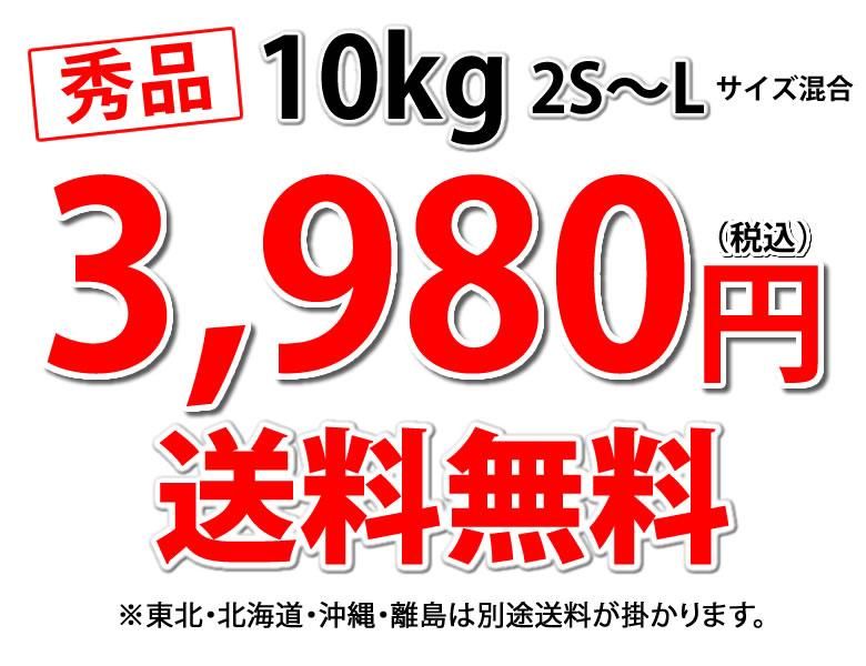 10kg ̵