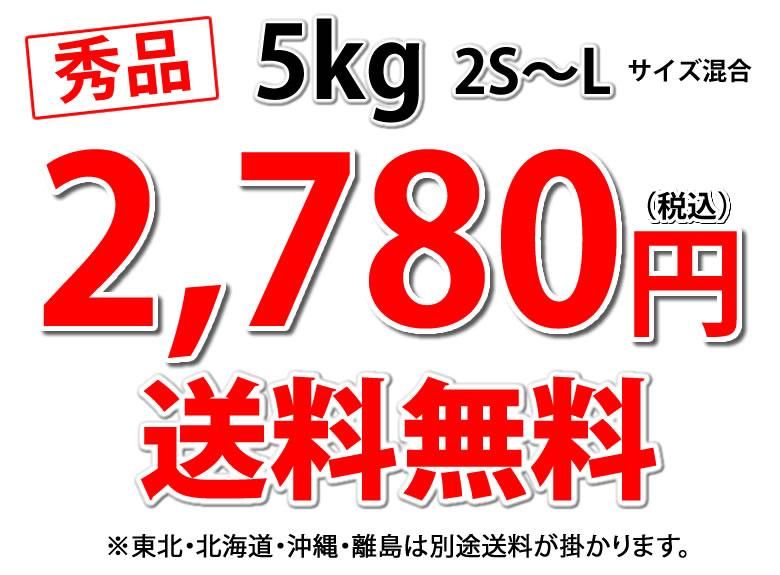5kg ̵