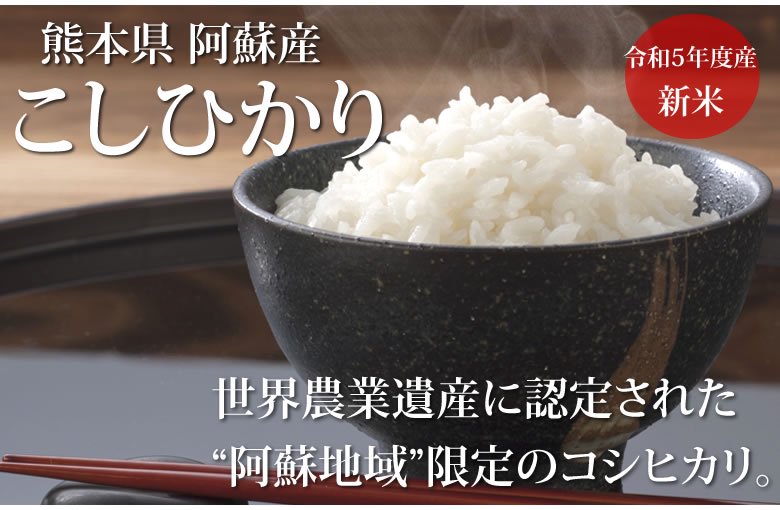 こしひかり 5kg 米 送料無料 熊本県阿蘇産 新米 令和5年産 お米 白米