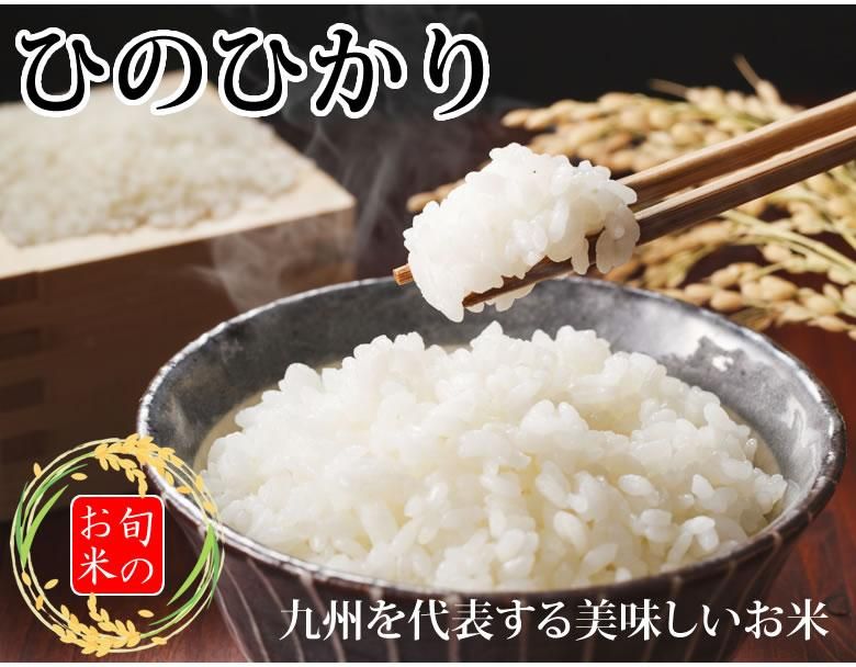 ひのひかり 米 10kg 令和6年産 送料無料 新米 熊本県産 お米 ひのひかり 米 10kg 令和6年産 送料無料 新米 熊本県産 お米
