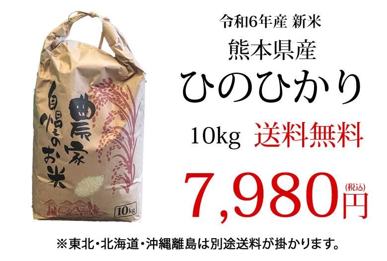 ひのひかり 米 10kg 令和6年産 送料無料 新米 熊本県産 お米 ひのひかり 米 10kg 令和6年産 送料無料 新米 熊本県産 お米