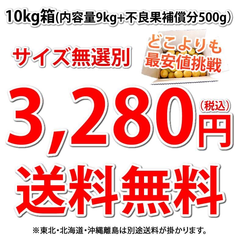 3,280円 送料無料