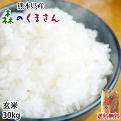 森のくまさん 米 送料無料 玄米 30kg 30年度産新米 熊本県産 お米 こめ 新米 ひのひかり こしひかり