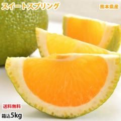 ȥץ  5kg Ȣ4kgʬ500g)  ߤ ̵  ܸ ֤䤫ʴŤȹ ̪ ߤ Ȭ  ե롼