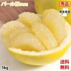 ѡ봻 ʸö ߤ ̵  5kg M2L ܸ 졼ץե롼 ̪