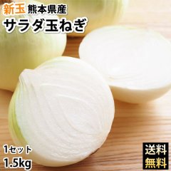 玉ねぎ サラダ玉ねぎ 送料無料 新玉 1.5kg S〜L 熊本県産 2セットで1セットおまけ 3セットで3セットおまけ 玉葱 たまねぎ 野菜