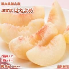  Ϥʤ ̵  1kg 56 2Ȣ1Ȣޤ ؤǤϤ  ܿڻ ɱ    ԡ ե롼