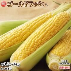 Ȥ ɥå ̵ 3.54kg ԥؤǤϤ 彣 ̣ ˴ťե롼ĥ ȥ 