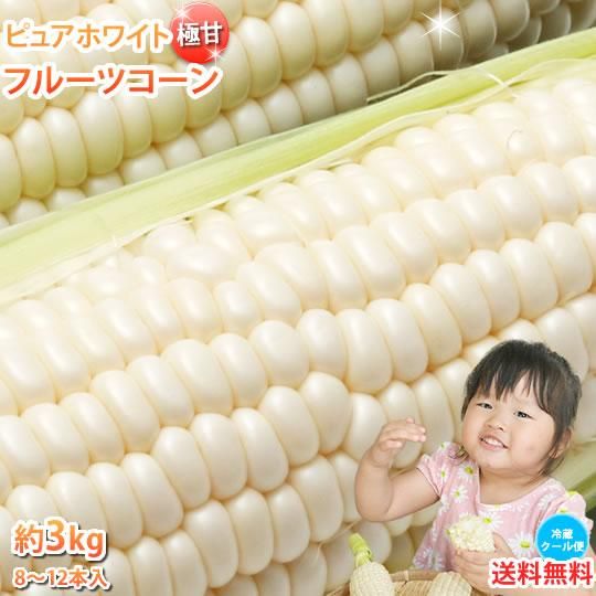 【ゆみたん】白いとうもろこし ピュアホワイト 10kg クール便 予約】 とうもろこし ピュアホワイトSP 10本 (冷蔵便) 北海道産